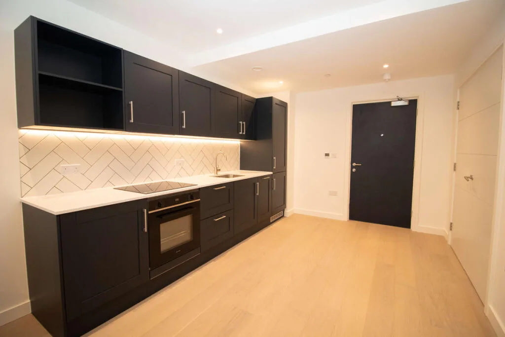 1 bedroom apartment for rent