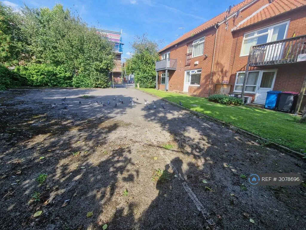 1 bedroom flat for rent