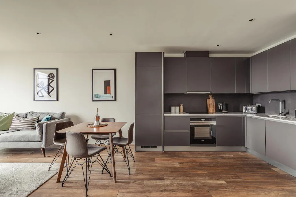 1 bedroom apartment for rent