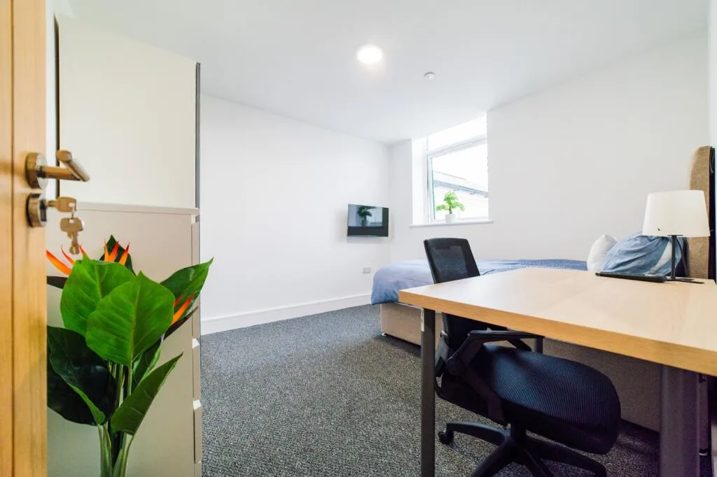 7 bedroom terraced house for rent