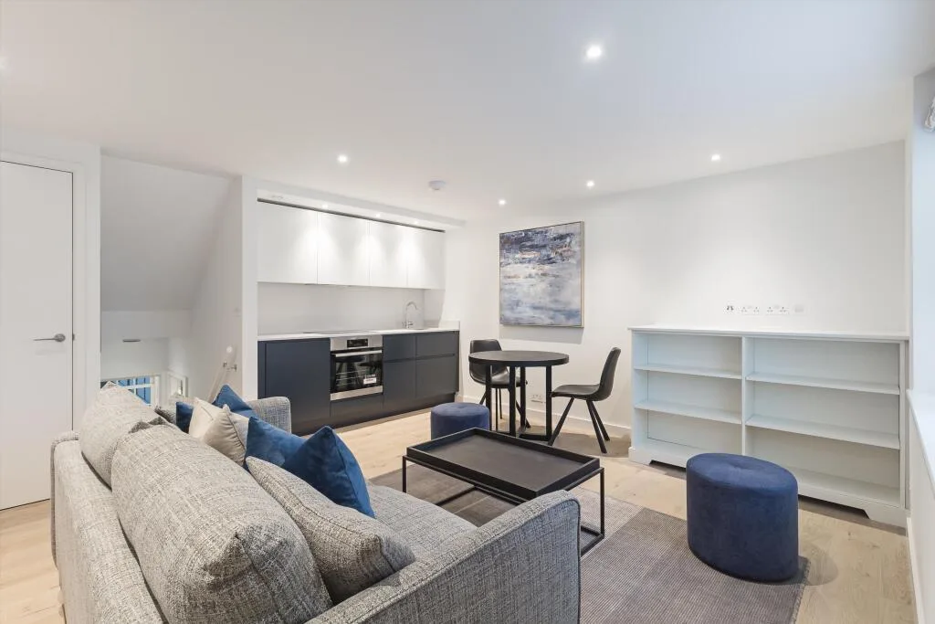 1 bedroom flat for rent