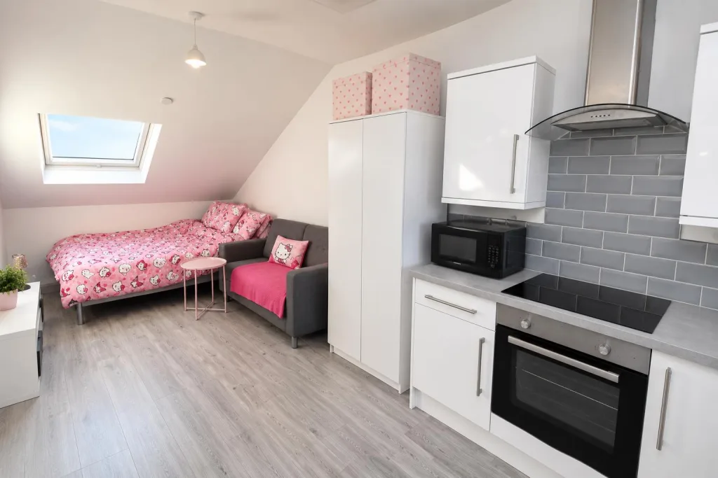 1 bedroom flat for rent