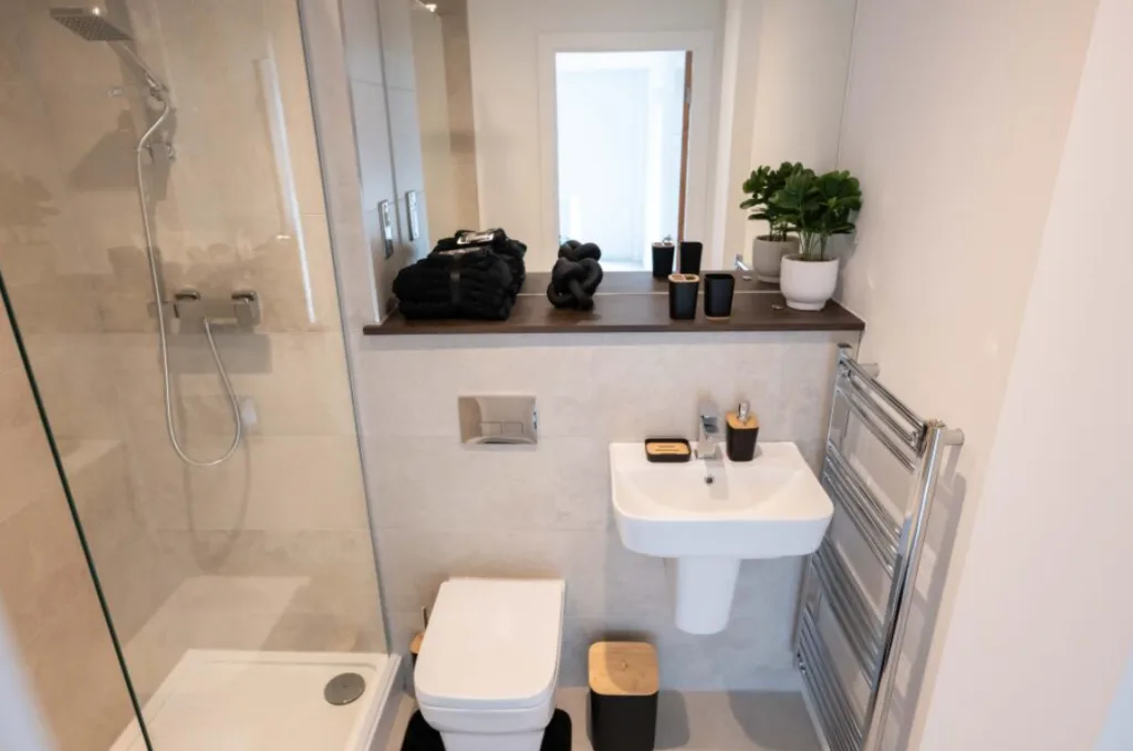 1 bedroom apartment for rent