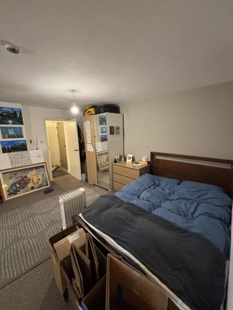 1 bedroom flat for rent