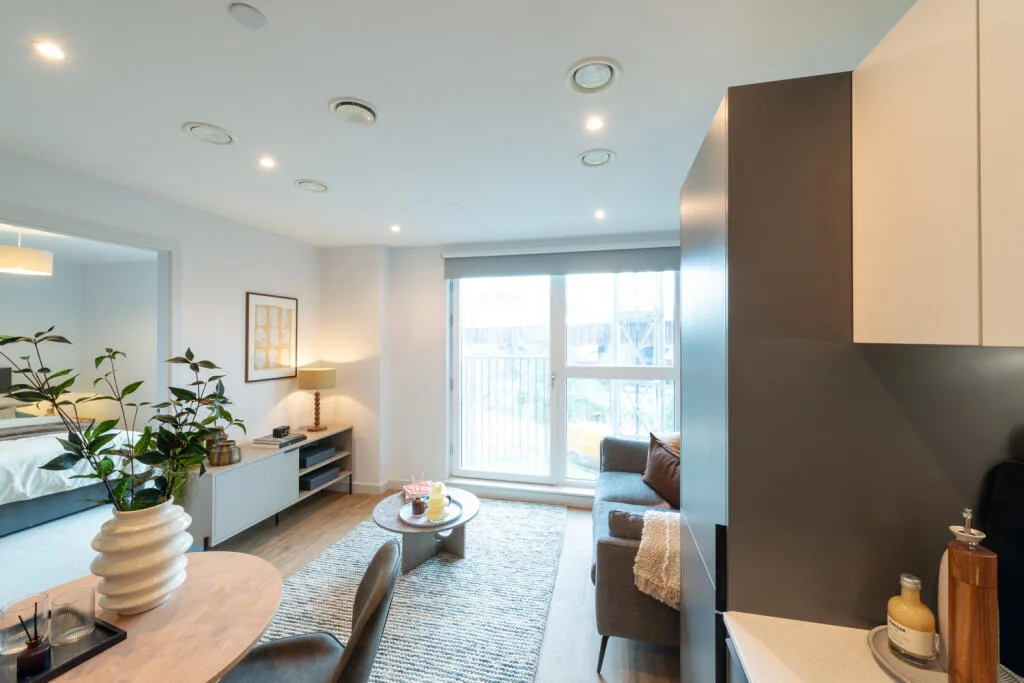 1 bedroom flat for rent