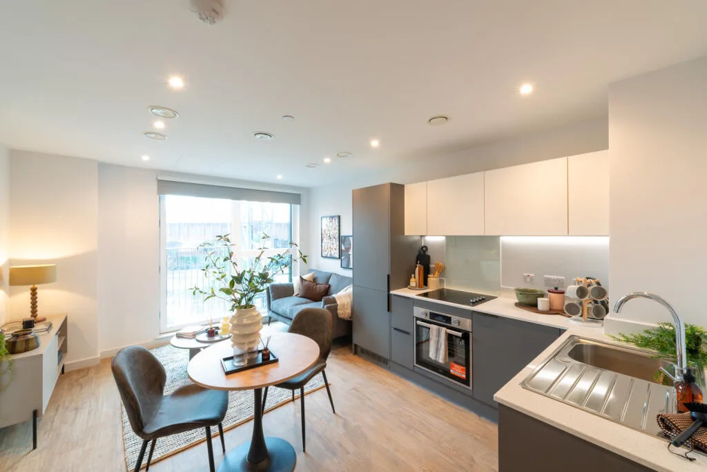 1 bedroom flat for rent