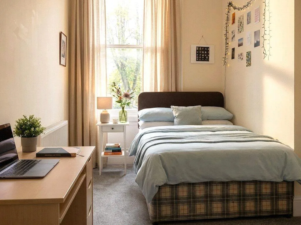 5 bedroom apartment for rent