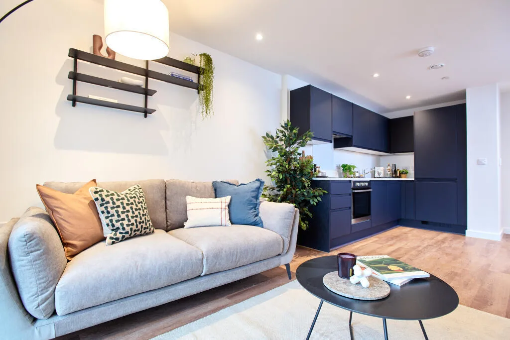 1 bedroom apartment for rent