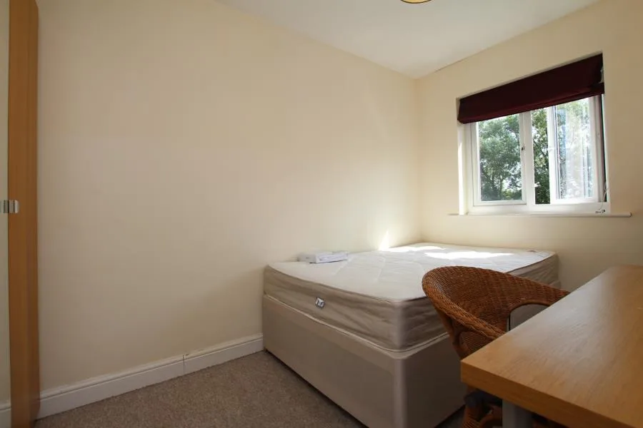 6 bedroom town house for rent