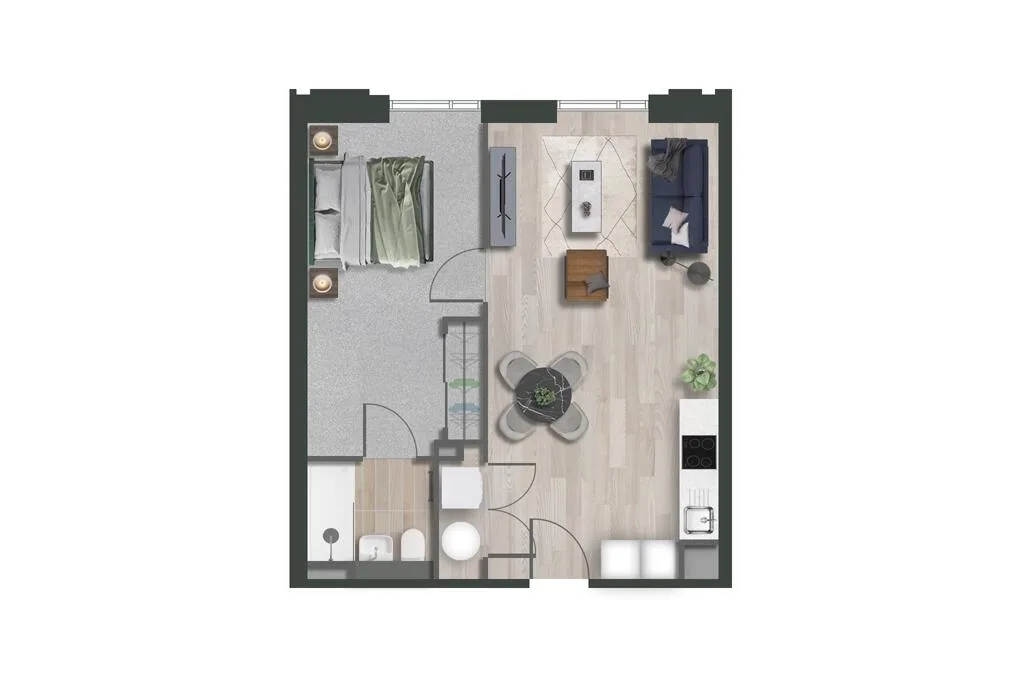 1 bedroom apartment for rent