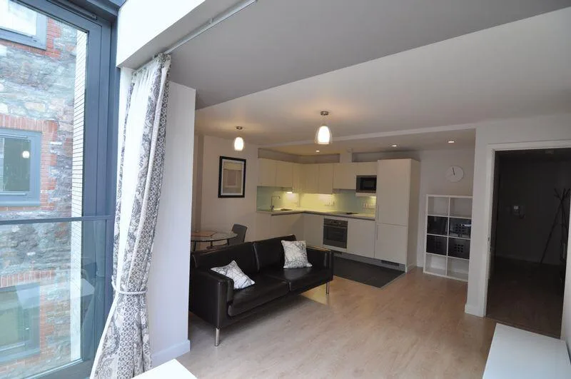 1 bedroom apartment for rent