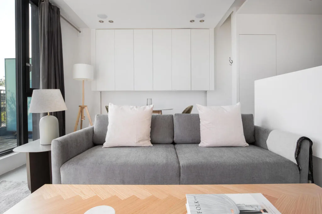 1 bedroom apartment for rent