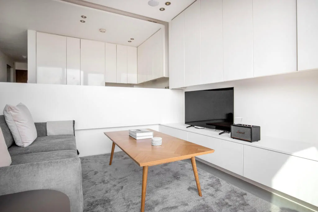 1 bedroom apartment for rent