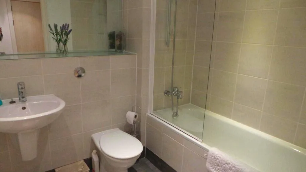 1 bedroom apartment for rent