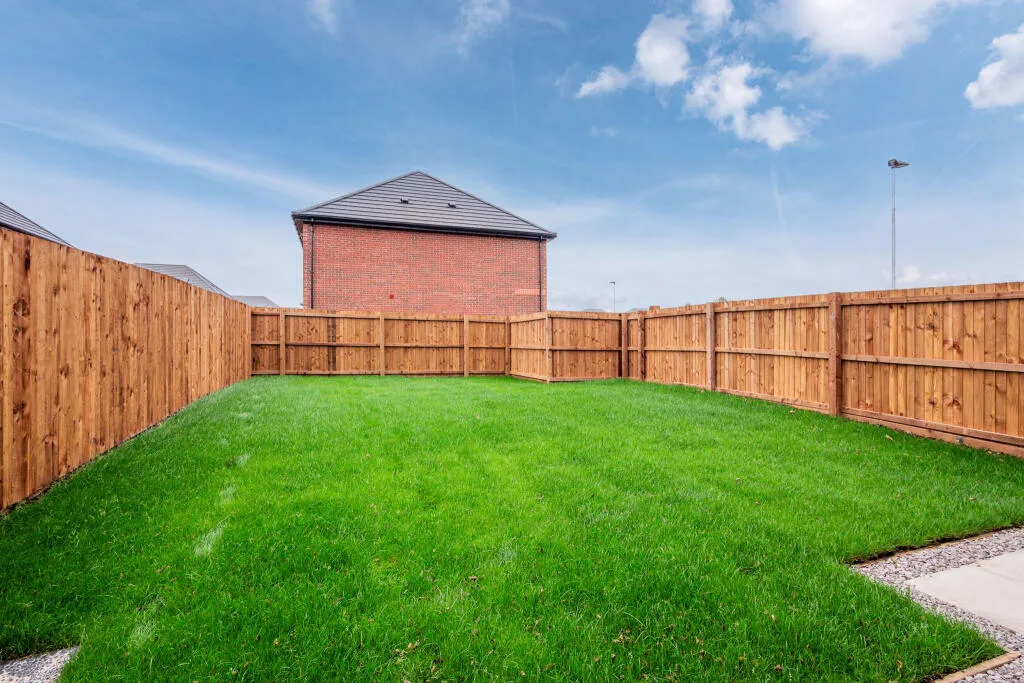 3 bedroom house for rent