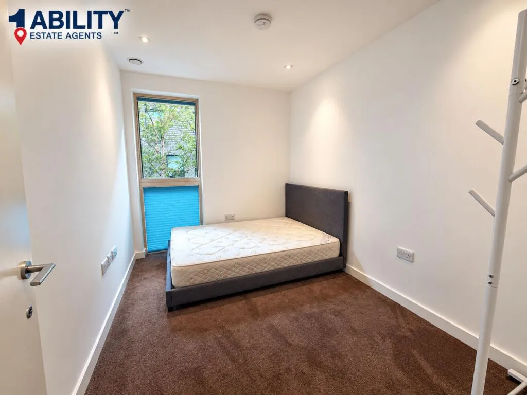 3 bedroom house for rent