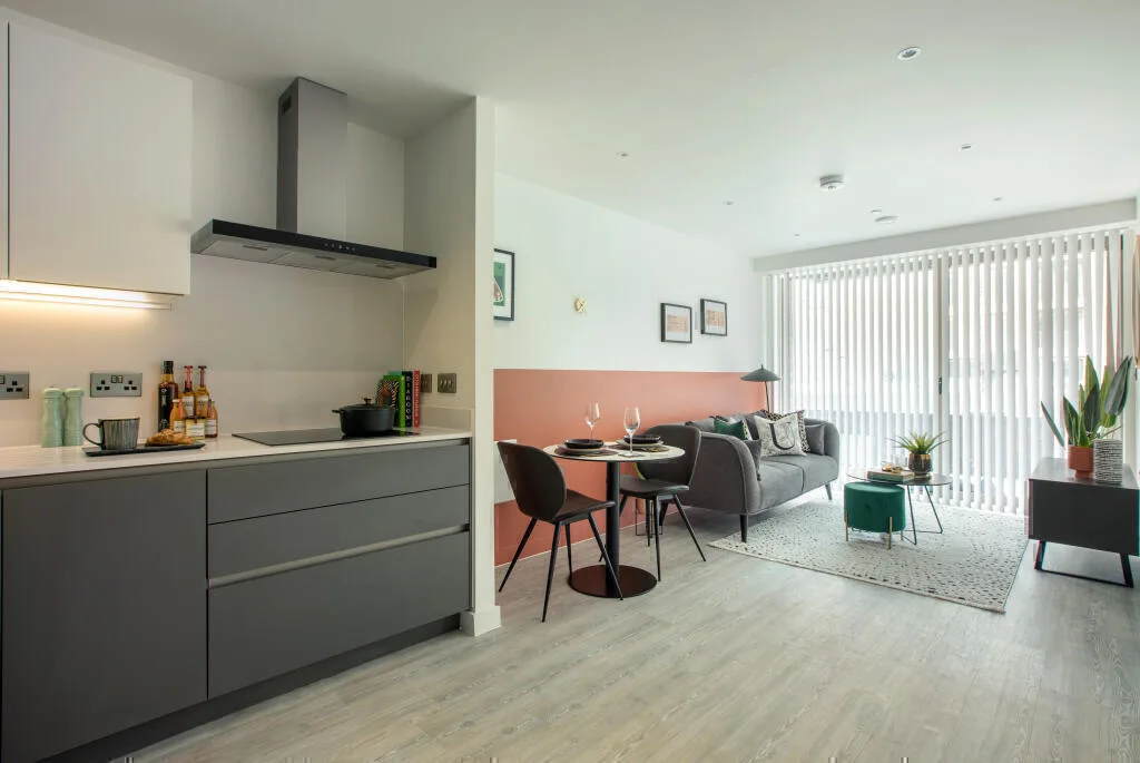 1 bedroom apartment for rent