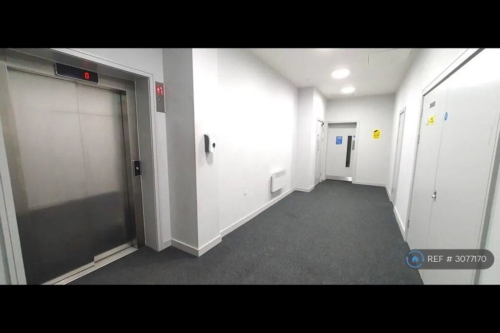 Studio flat for rent