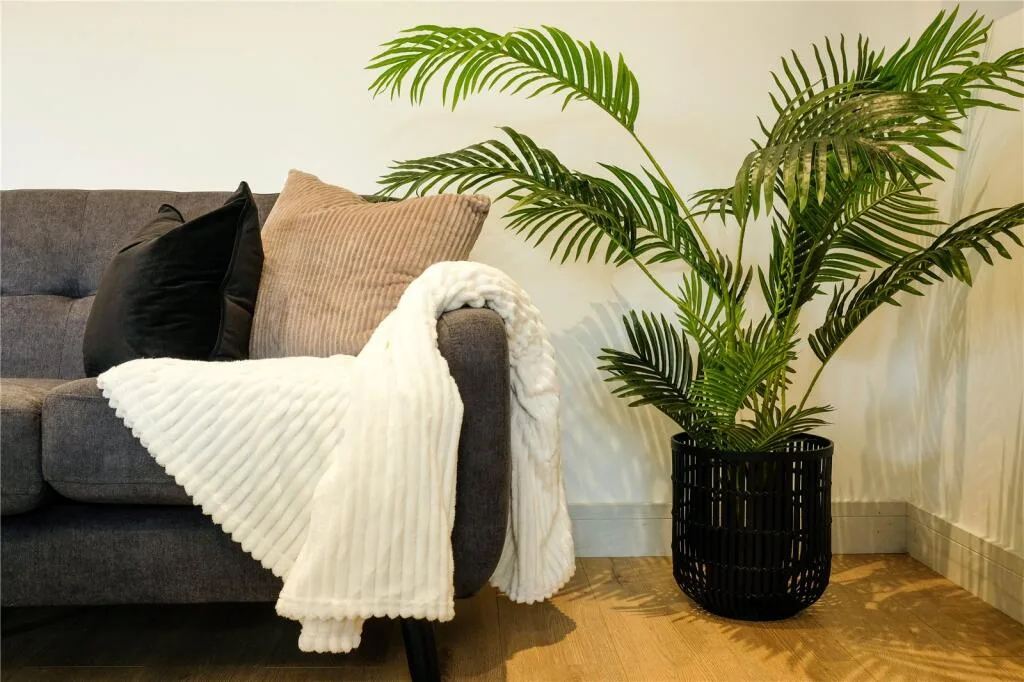 6 bedroom semi-detached house for rent