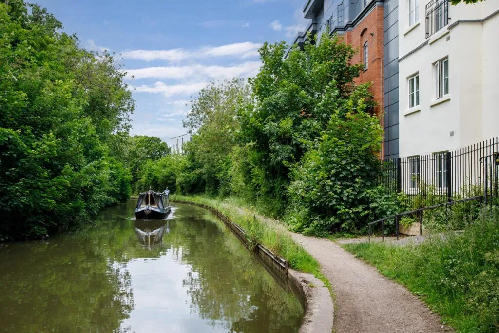 6 bedroom apartment for rent