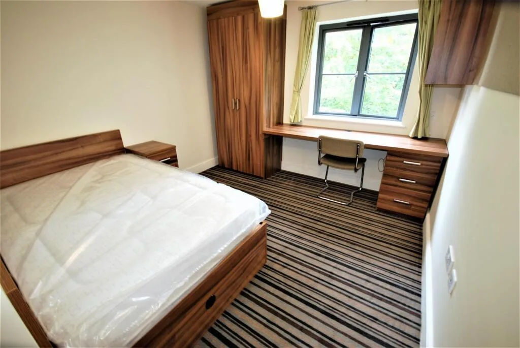 6 bedroom apartment for rent