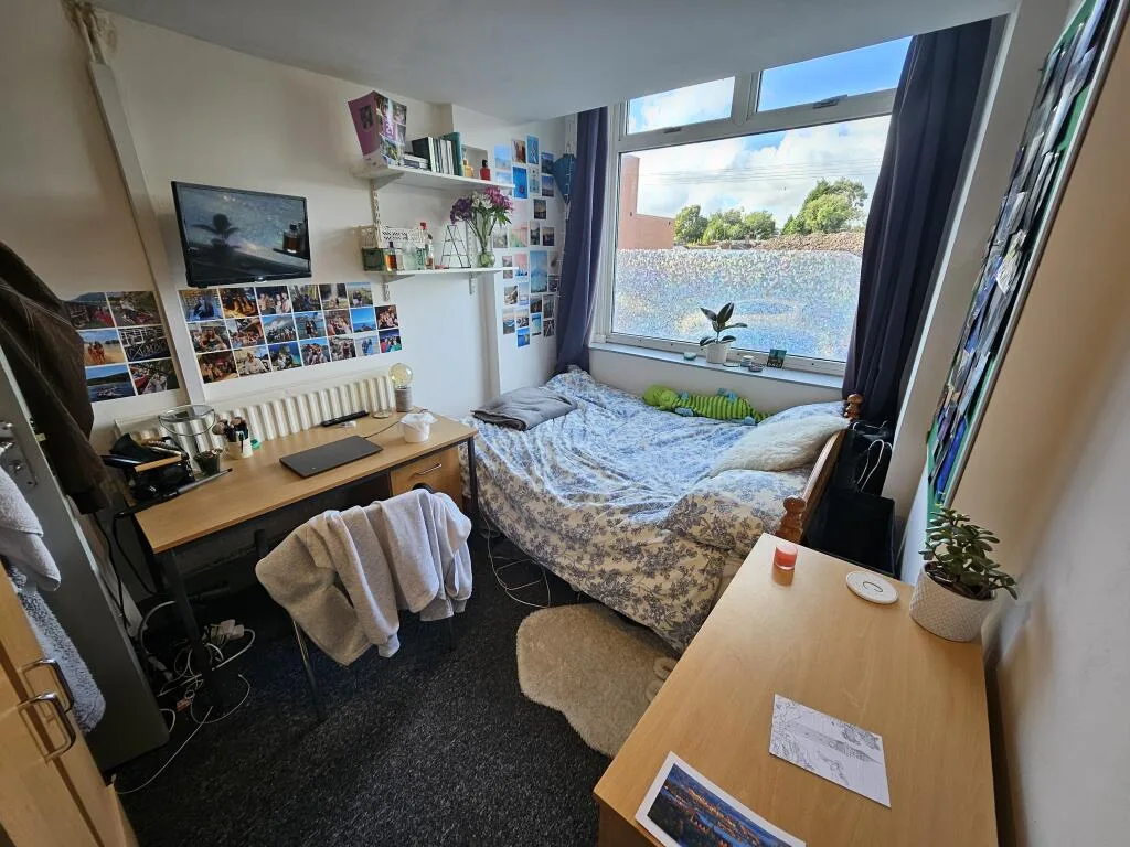 8 bedroom house for rent