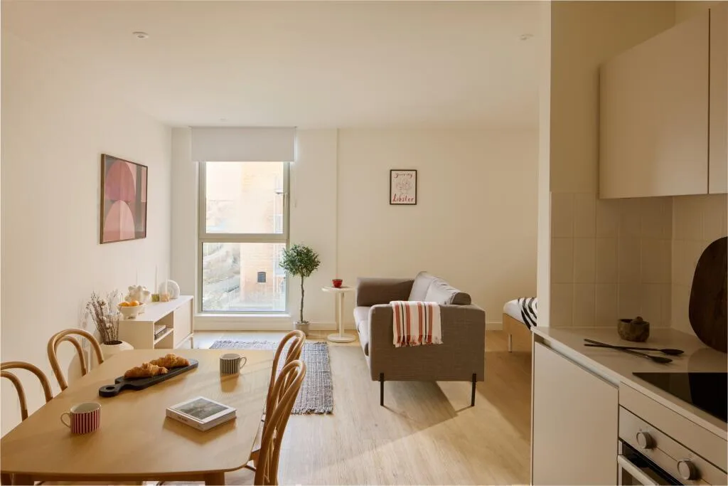 Studio flat for rent