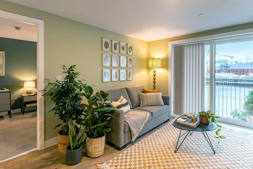1 bedroom apartment for rent
