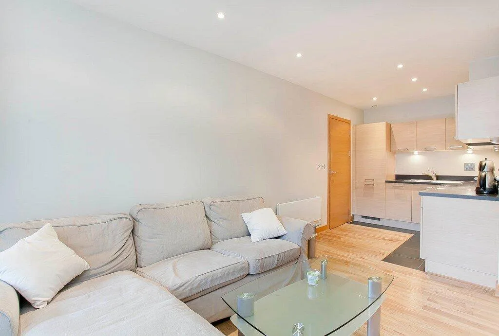 1 bedroom apartment for rent
