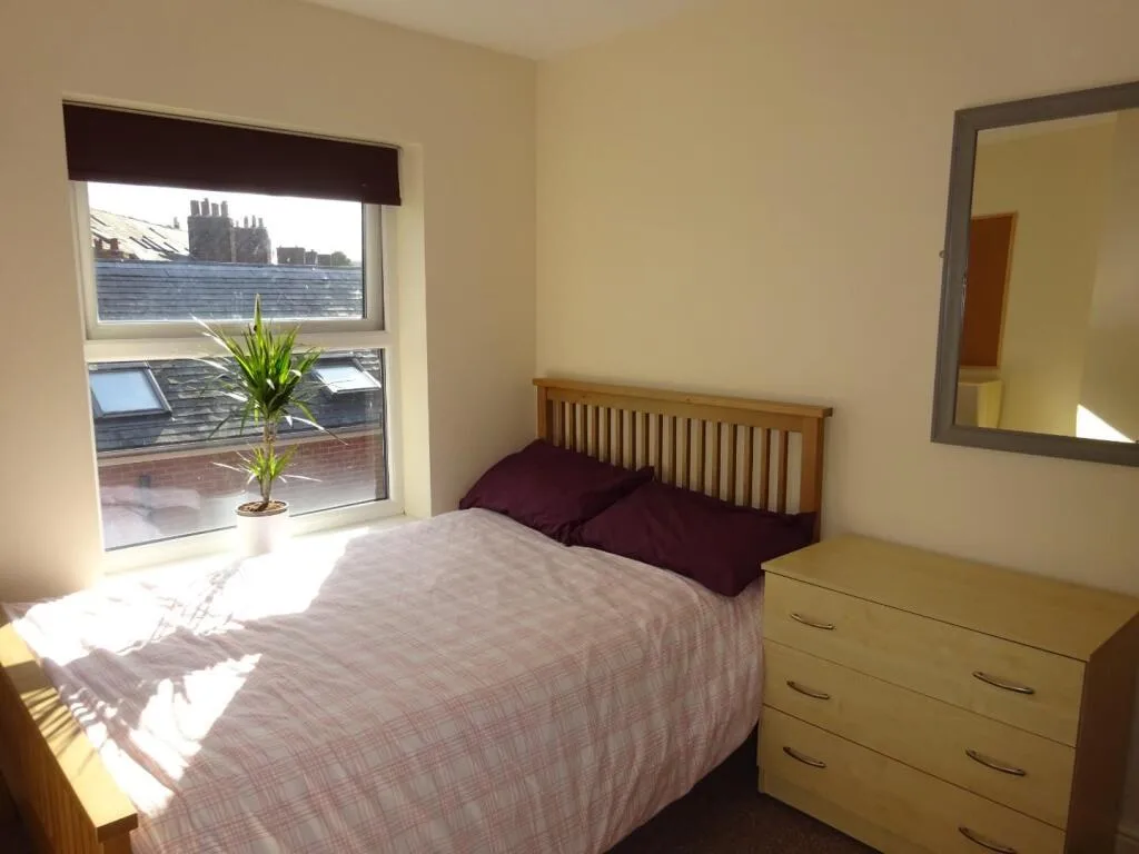 5 bedroom flat for rent