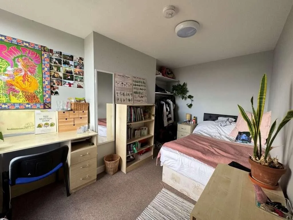 5 bedroom house for rent