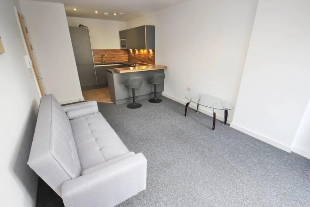 1 bedroom apartment for rent