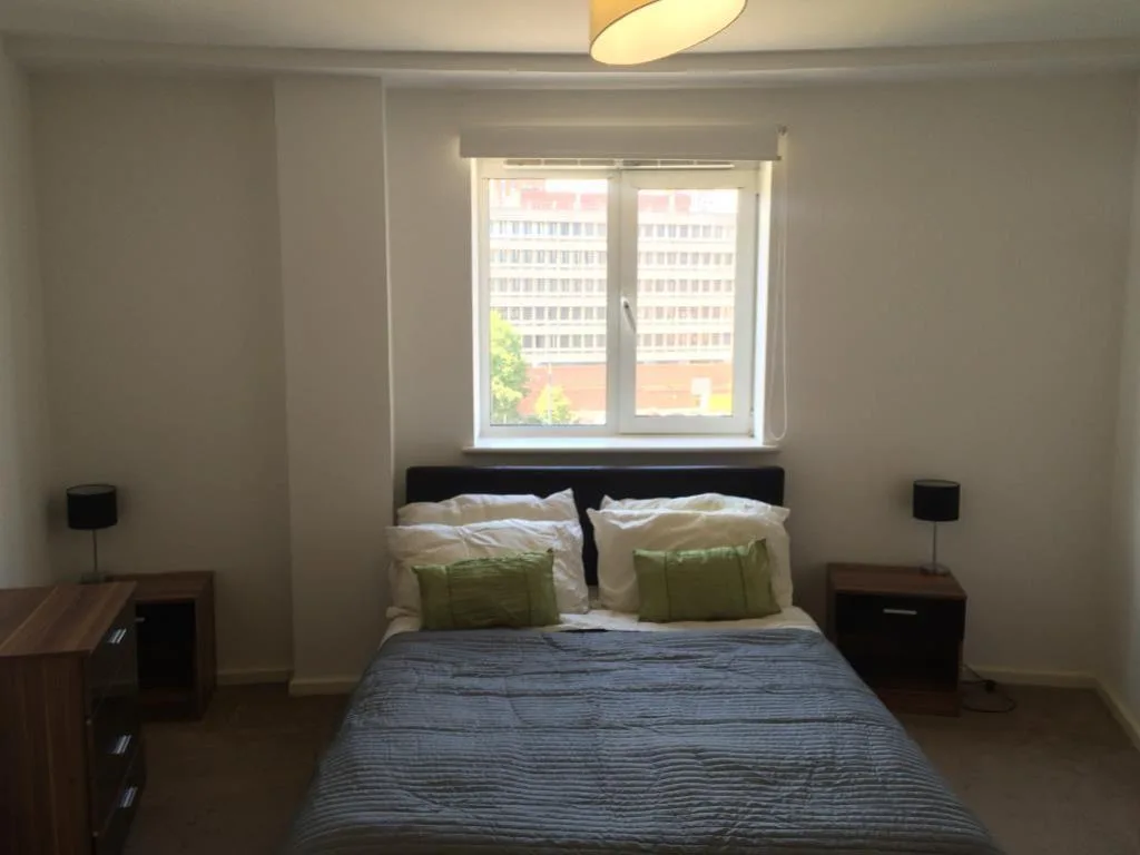 1 bedroom apartment for rent