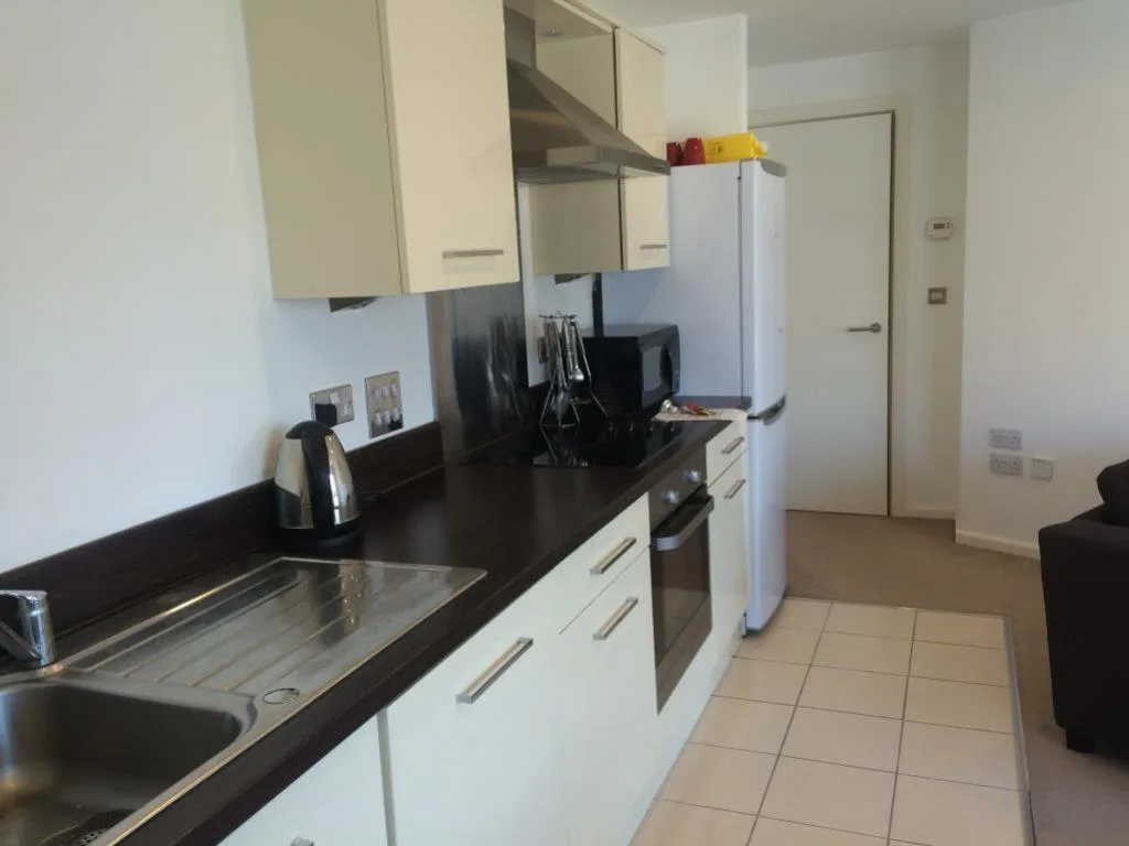 1 bedroom apartment for rent
