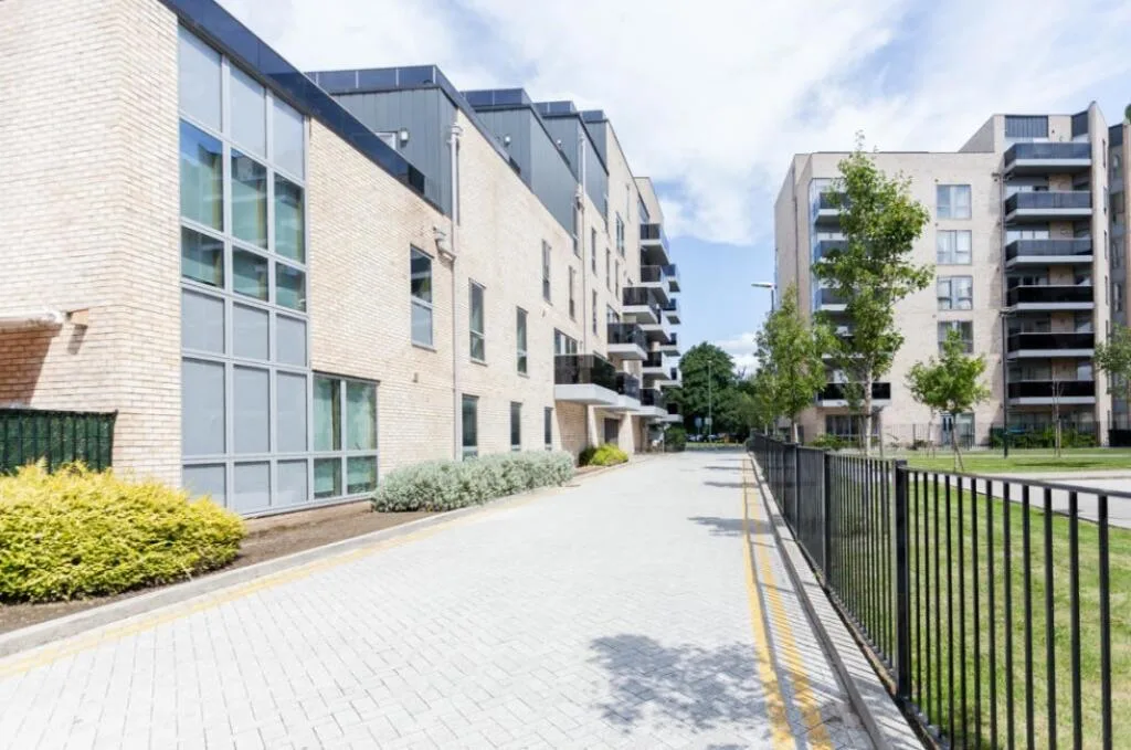 1 bedroom flat for rent