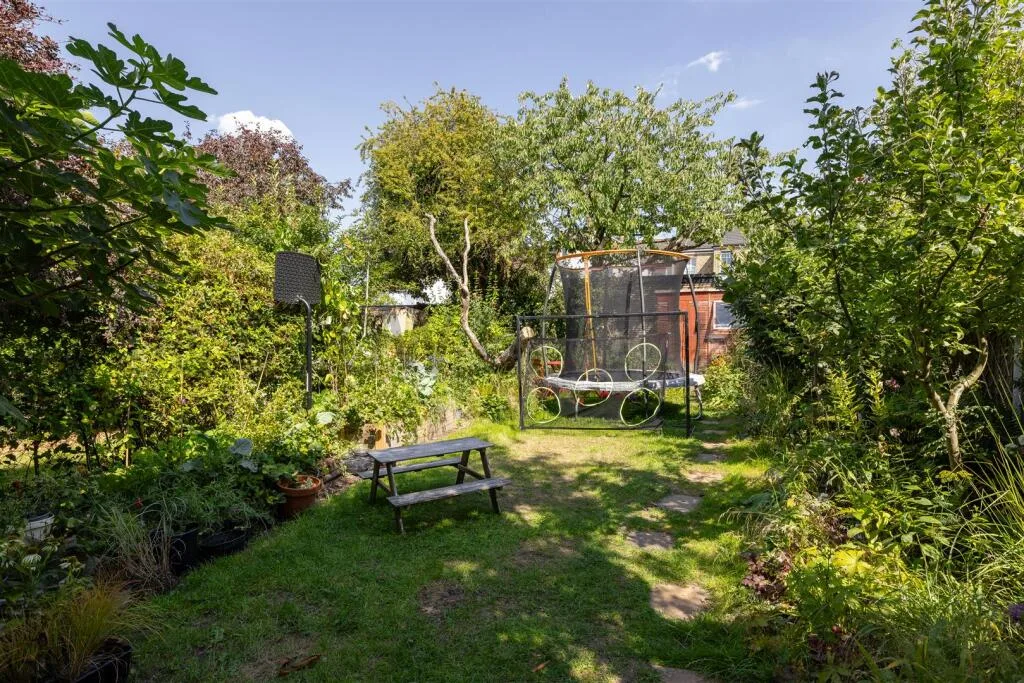 3 bedroom house for rent