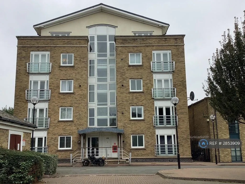 2 bedroom flat for rent