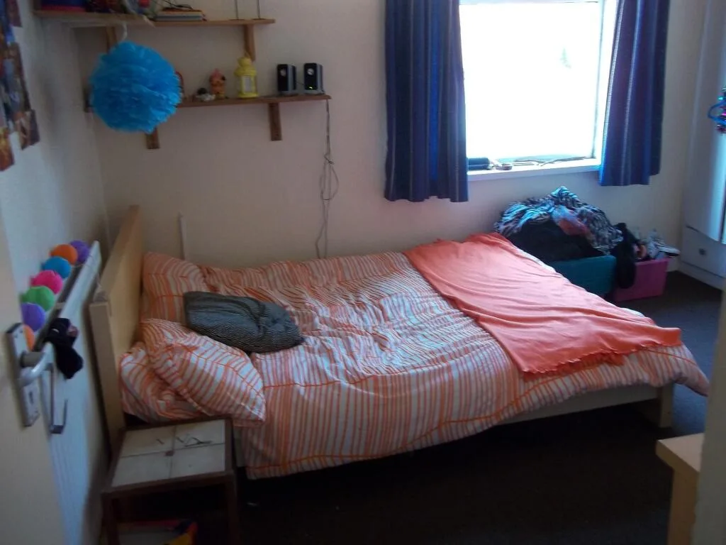 5 bedroom house for rent