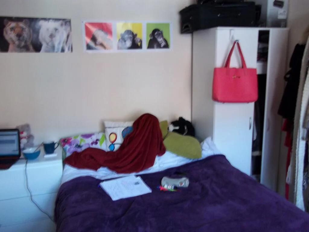 5 bedroom house for rent