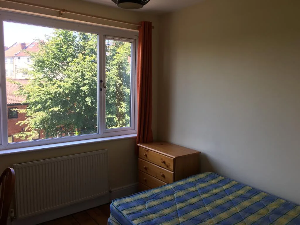 6 bedroom house for rent