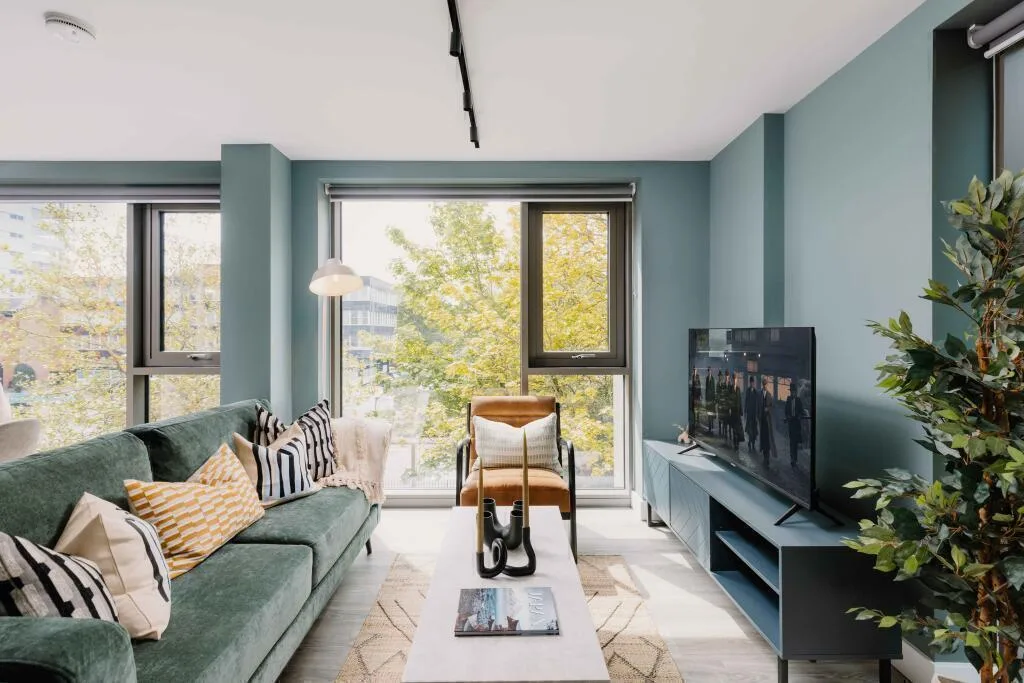 1 bedroom apartment for rent