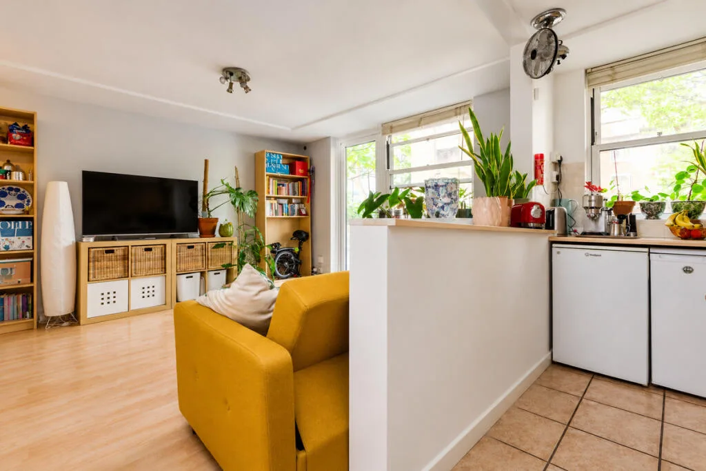 1 bedroom apartment for rent