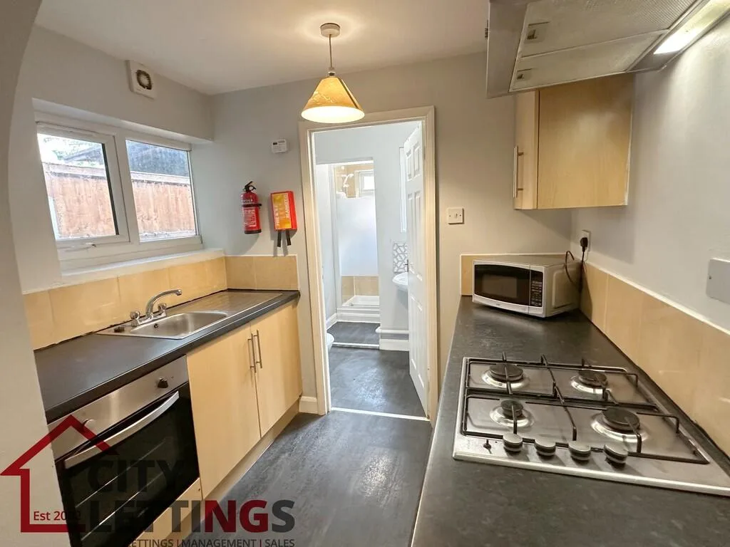4 bedroom end of terrace house for rent