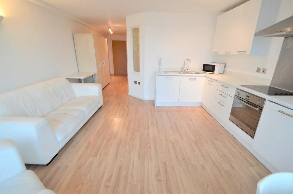 1 bedroom apartment for rent