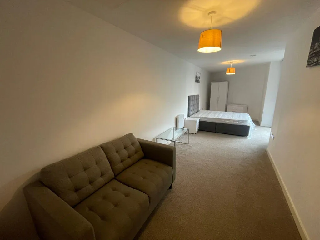 1 bedroom apartment for rent