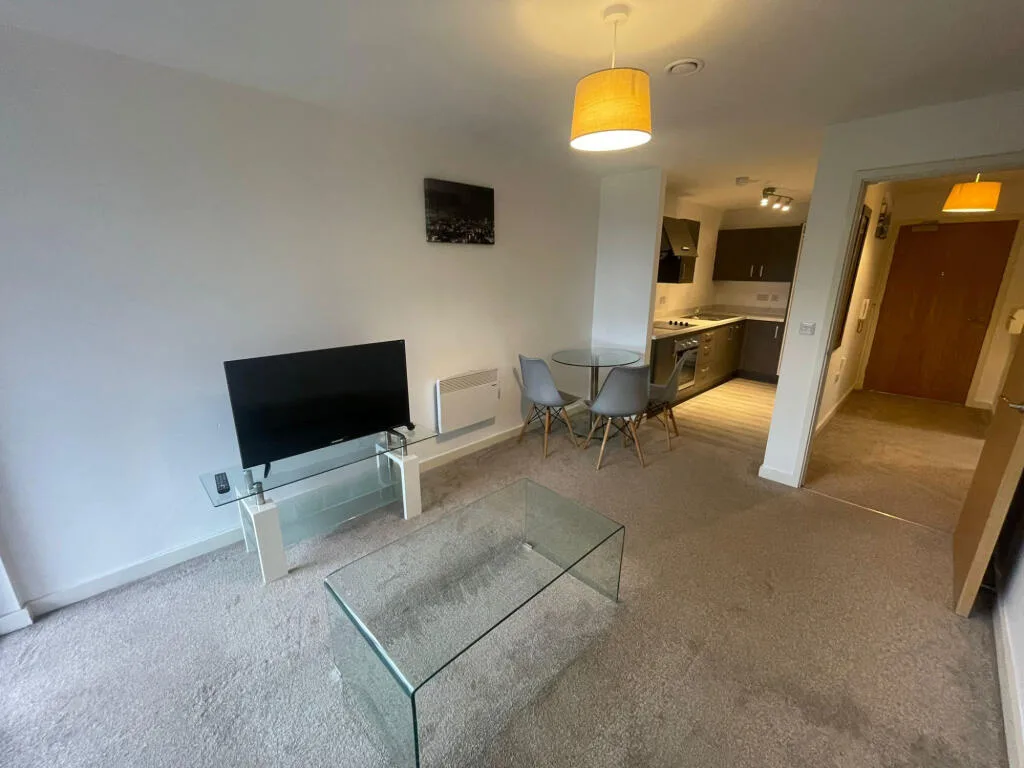 1 bedroom apartment for rent