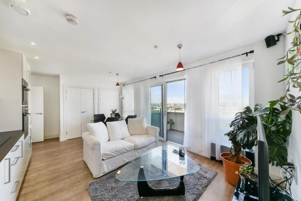 1 bedroom flat for rent
