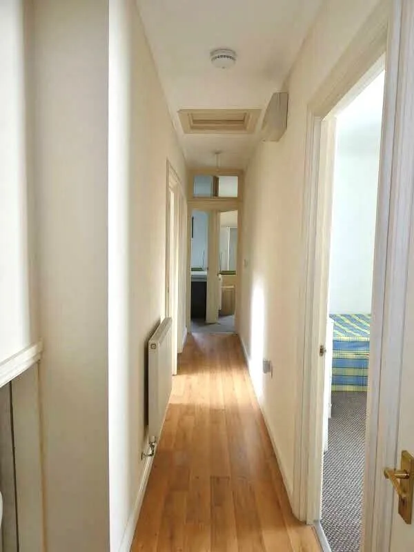 4 bedroom apartment for rent