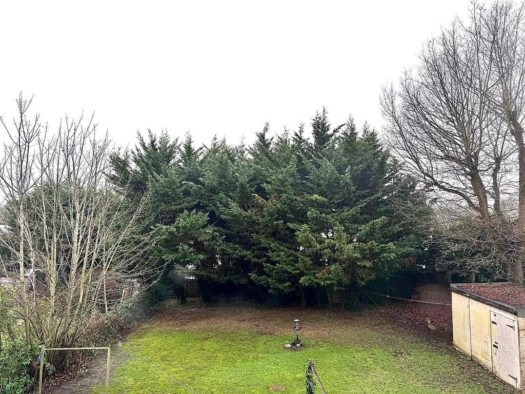 1 bedroom property for rent