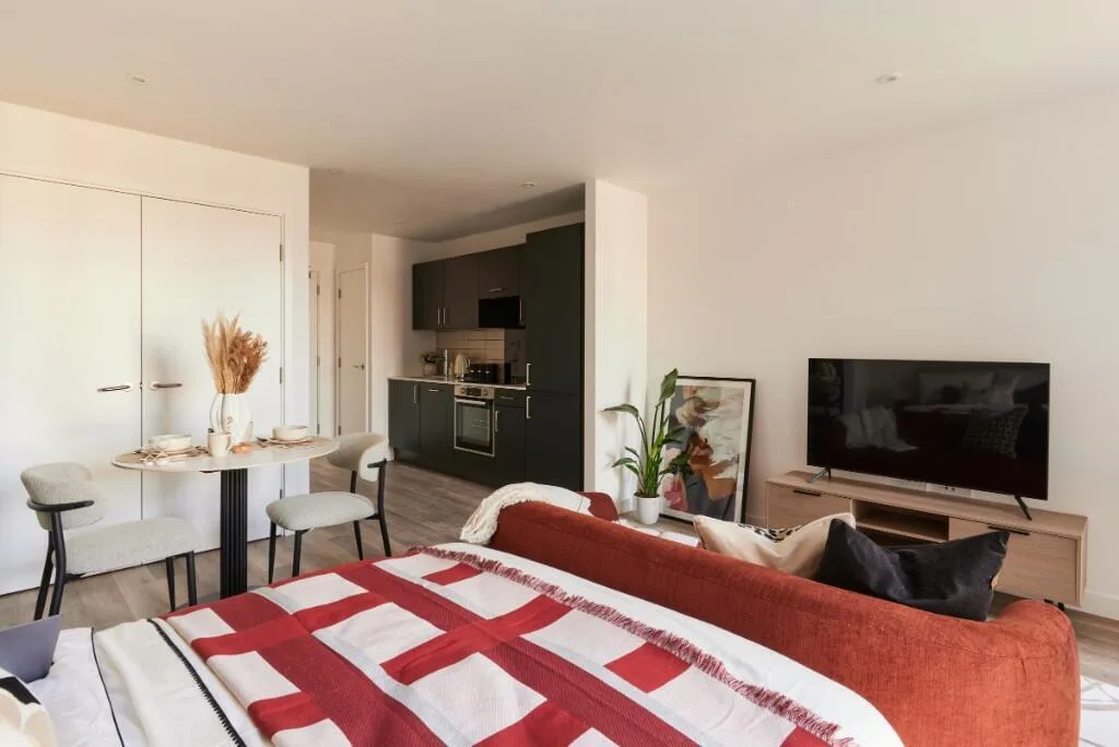 Studio flat for rent